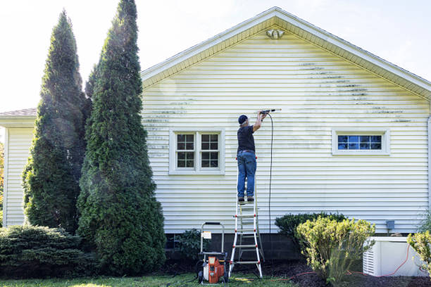 Best Gutter Cleaning and Brightening in Woodworth, OH